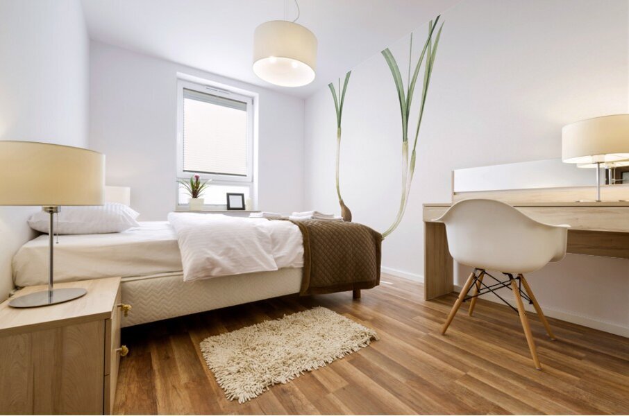 Snowdrop illustration  Mural print