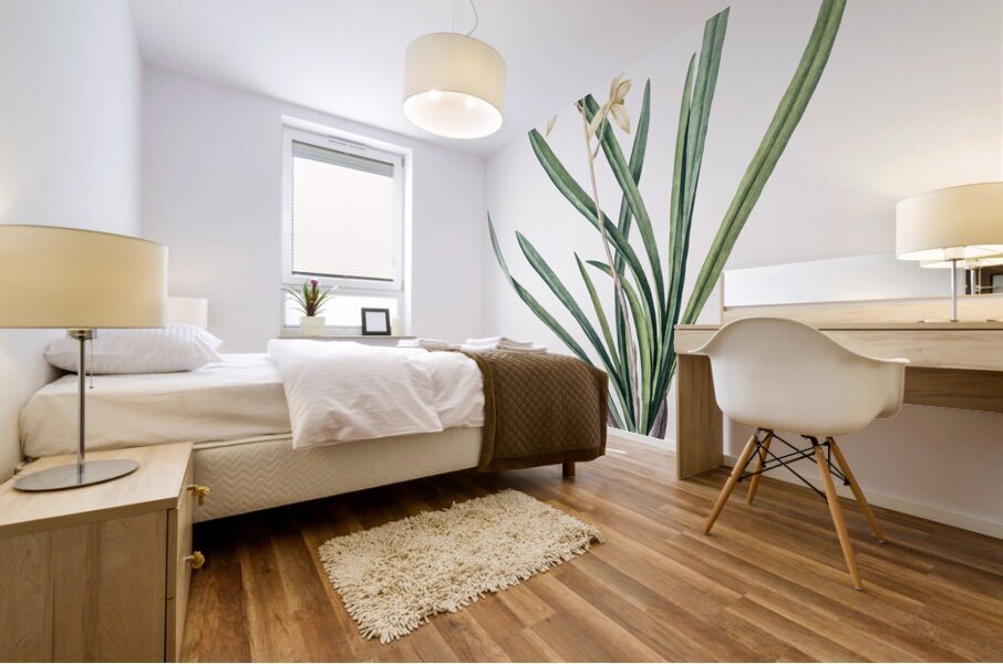 Epidendrum sinense illustration  Mural print