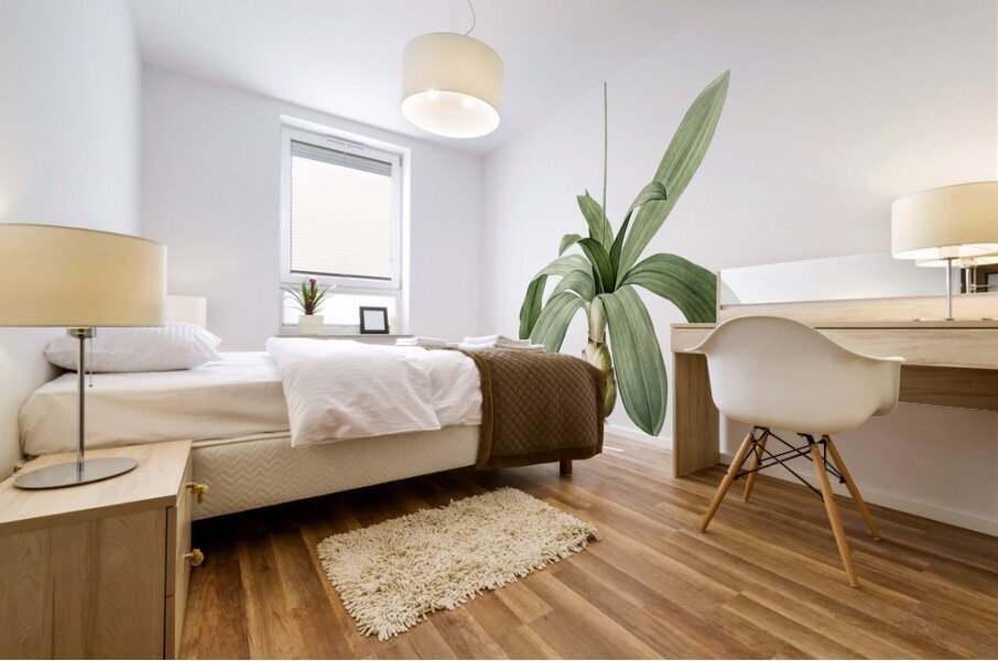 Scilla Lilio hyacinthus illustration  Mural print