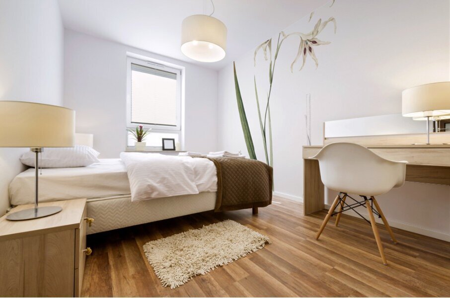 Gladiolus cuspidatus illustration  Mural print