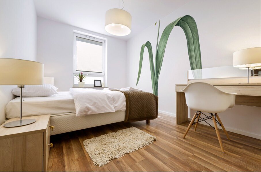 Opal flower illustration  Mural print