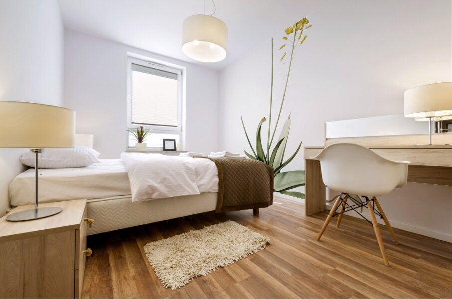 Bulbine illustration  Mural print