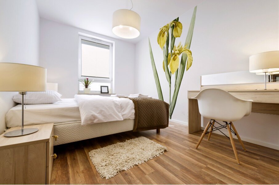 Pale garlic illustration  Mural print