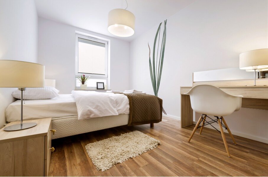 Hairy garlic illustration  Mural print