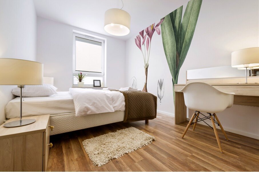 Autumn crocus illustration  Mural print