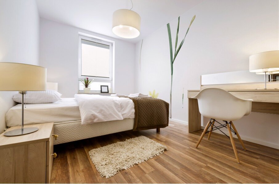 Cape tulip illustration  Mural print