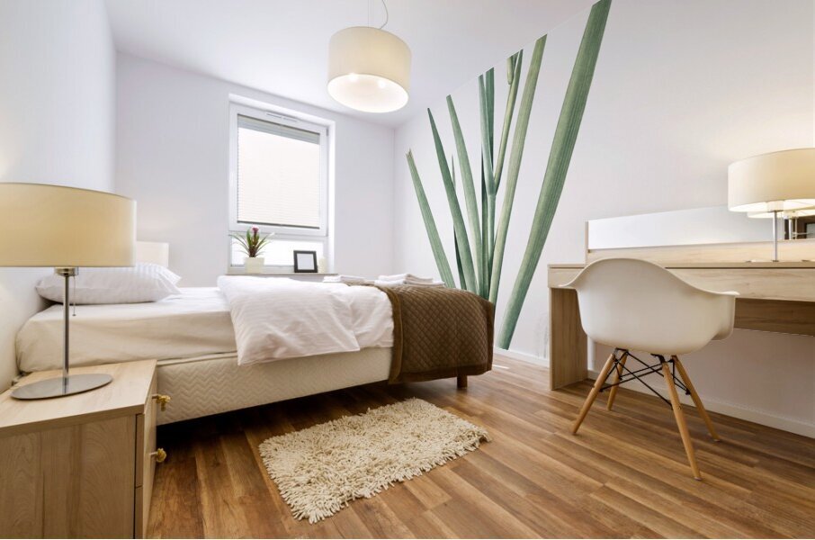 Stinking iris illustration  Impression murale