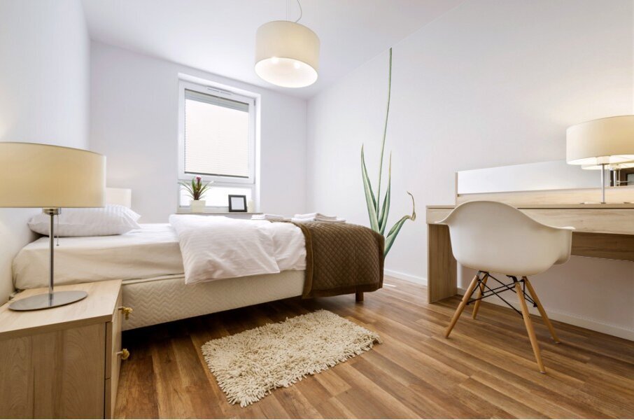 Chincherinchee illustration  Mural print