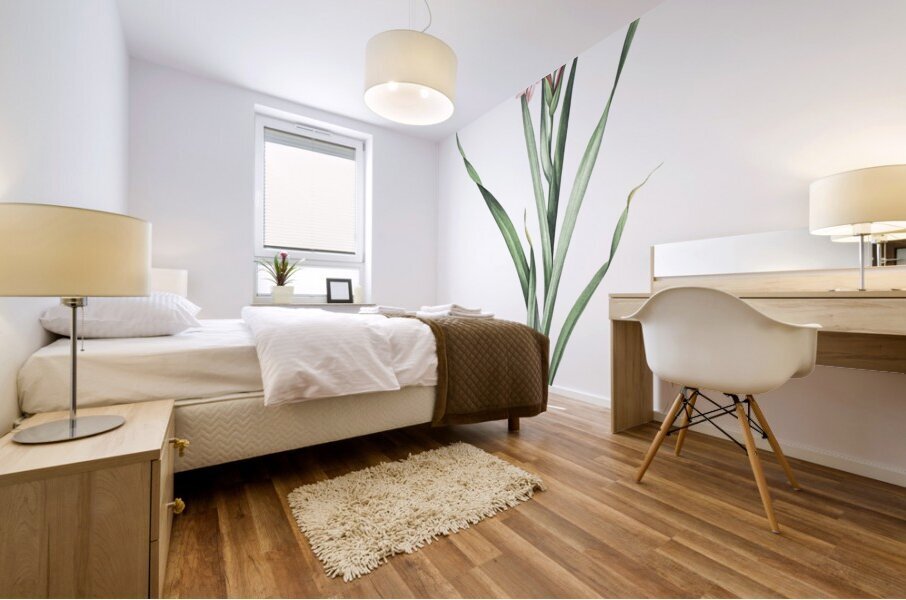 Sword lily illustration  Mural print