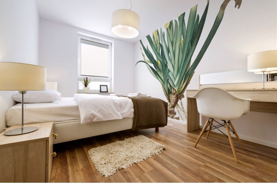 Crimean iris illustration  Mural print