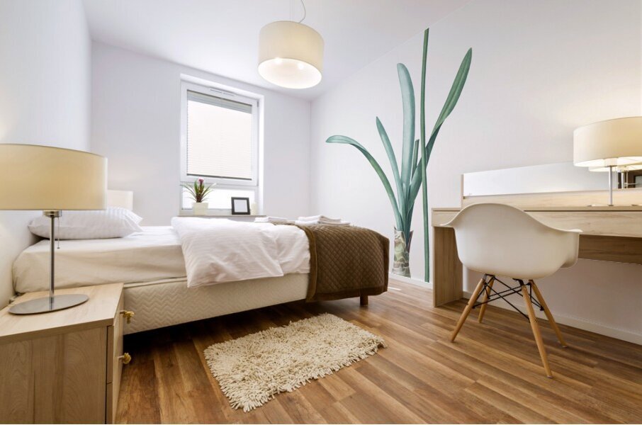 Guernsey lily illustration  Mural print