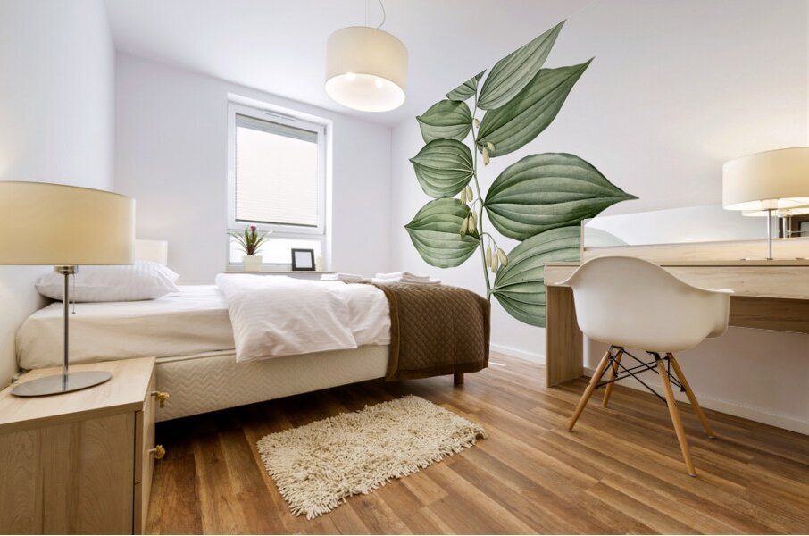 King Solomon seal illustration  Mural print