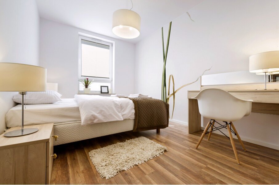 Wild onion illustration  Mural print