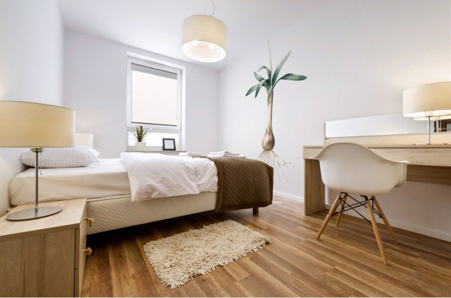 Scilla lingulata illustration  Mural print