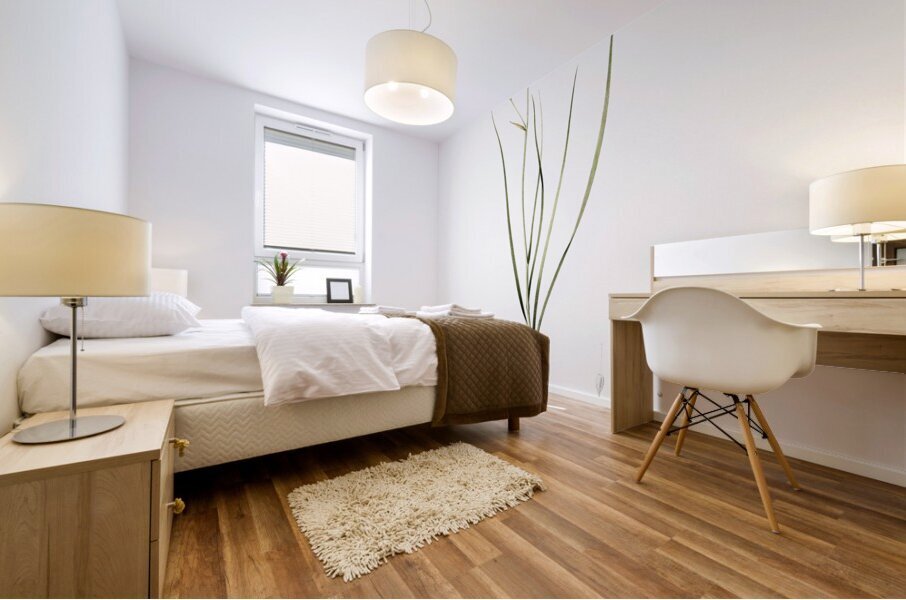 Amaryllis montana illustration  Mural print