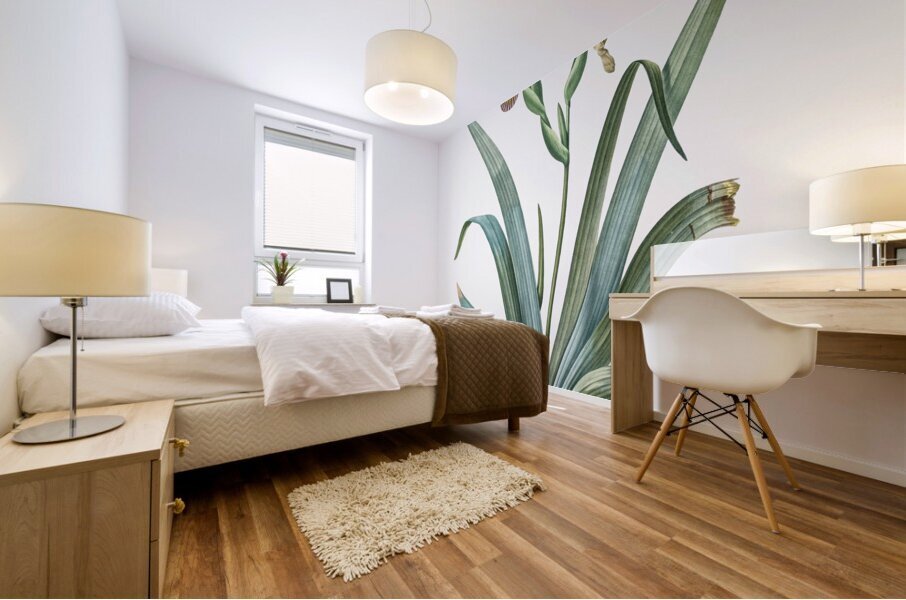 Hungarian iris illustration  Mural print