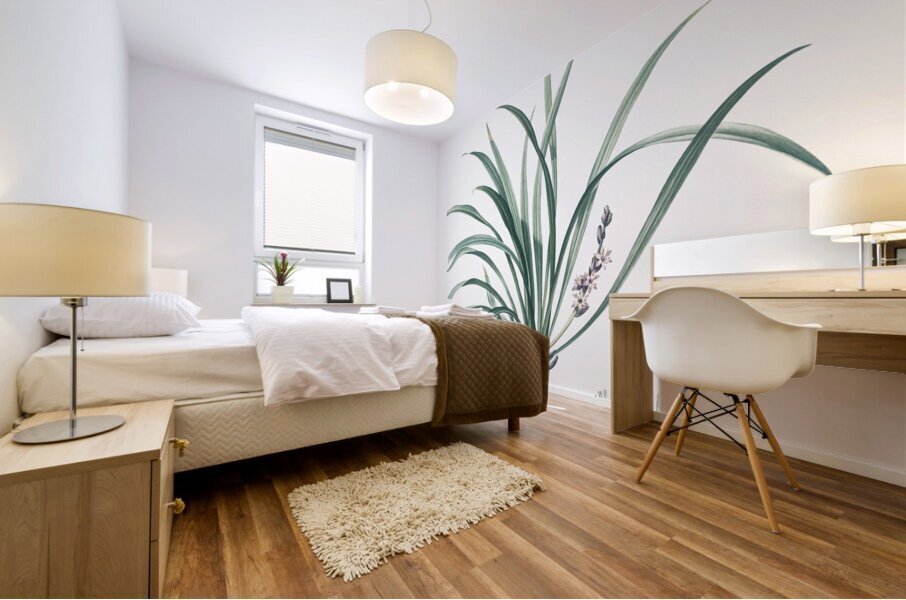 Sansevieria carnea illustration  Mural print