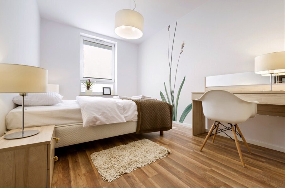 Mossel bay tritonia illustration  Mural print