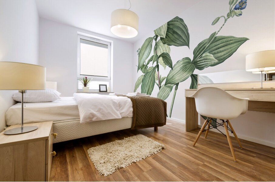 Tradescantia erecta illustration  Mural print