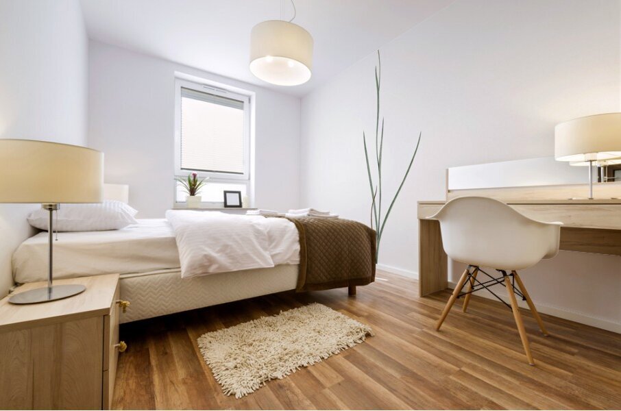 Hesperantha illustration  Mural print