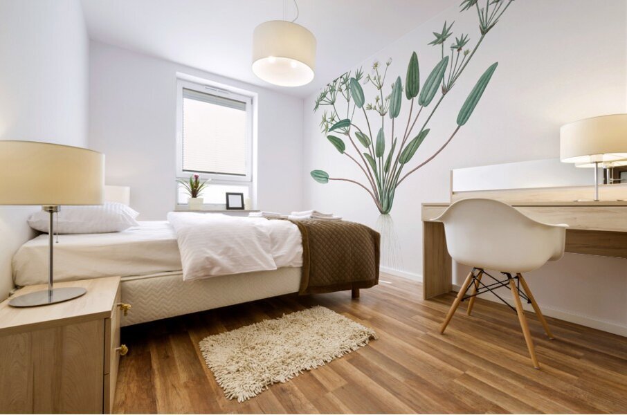 Starfruit illustration  Mural print