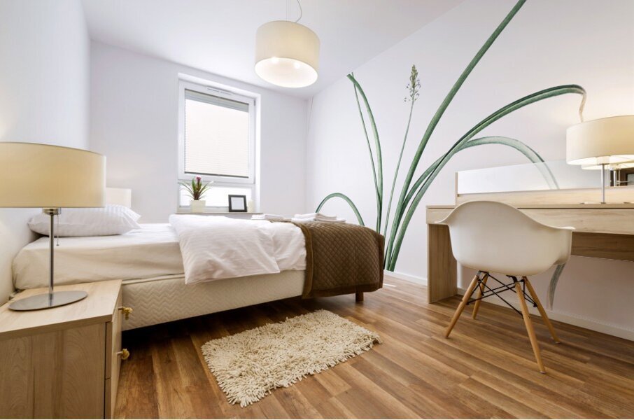 Roman hyacinth illustration  Mural print