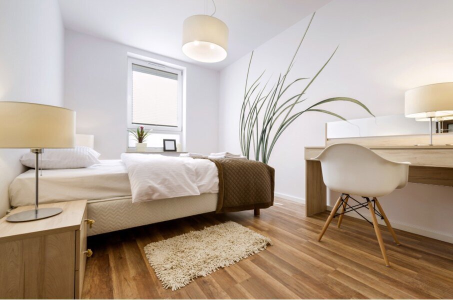 Allium denudatum illustration  Mural print