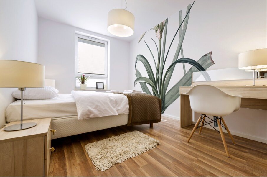 Malgas lily illustration  Mural print