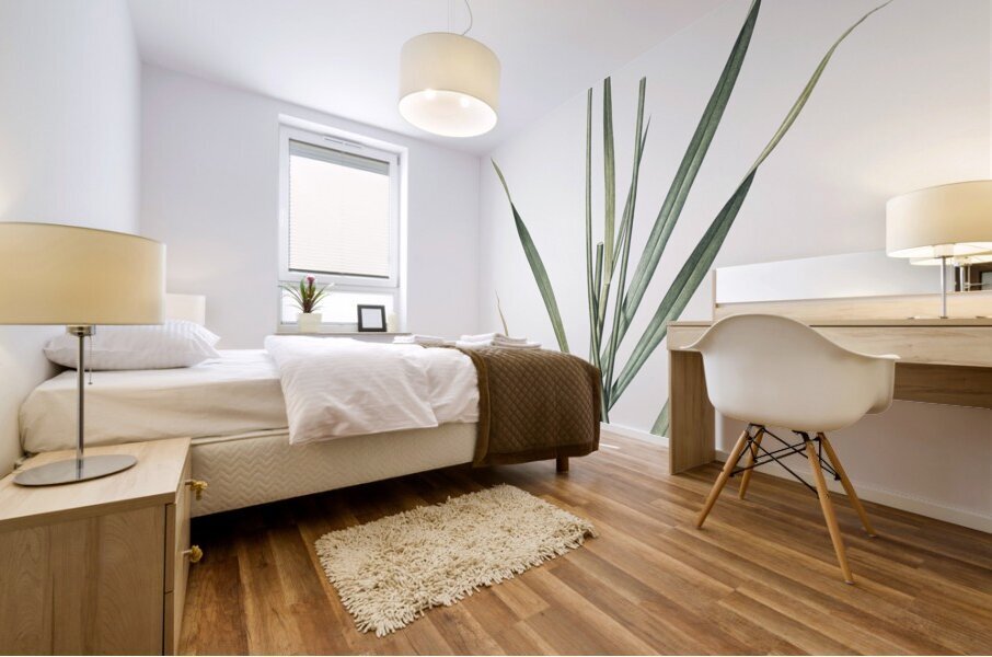 Lopsided onion illustration  Mural print