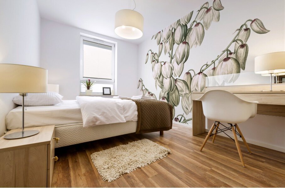 Aloe yucca illustration  Mural print