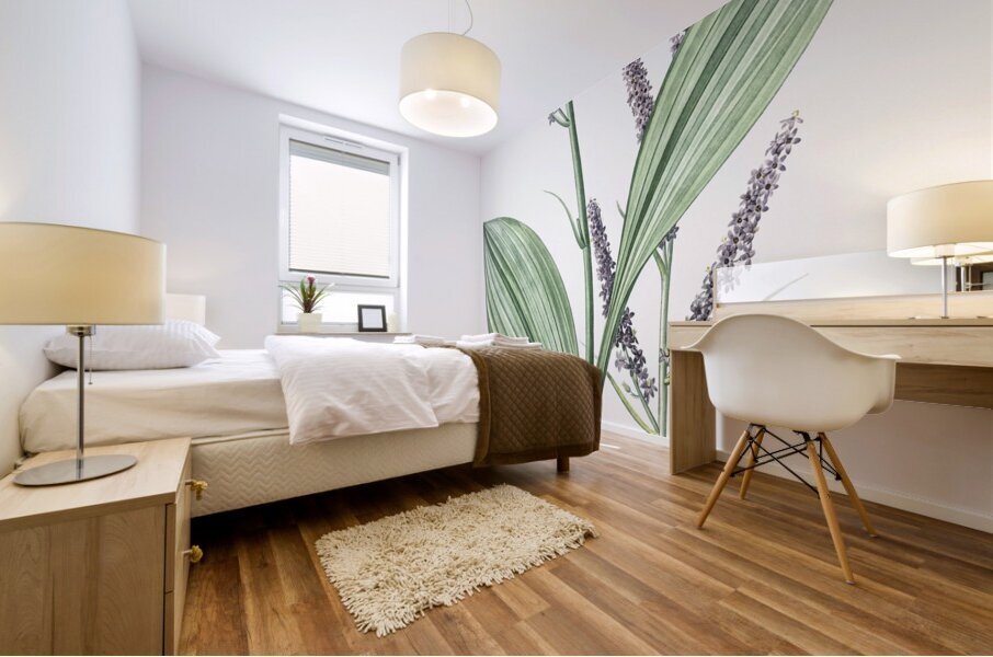 Black false hellebore illustration  Mural print