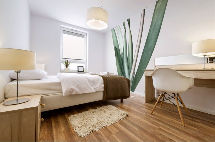 Knysna lily illustration  Mural print