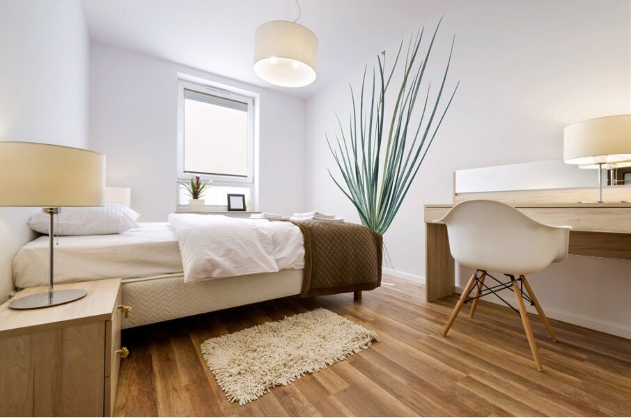 Blue corn-lily illustration  Mural print