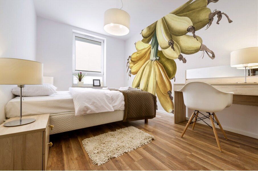Banana illustration  Mural print