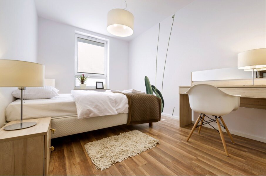 Eriospermum lanceaefolium illustration  Mural print