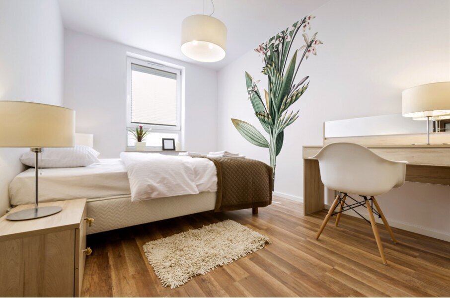 Baboon root illustration  Mural print