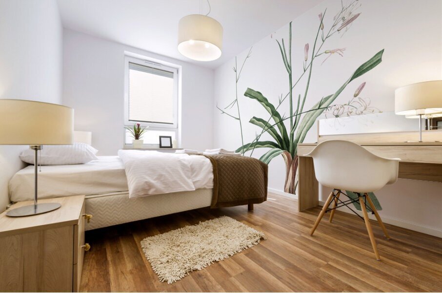 Wavy-leafed soap plant illustration  Mural print