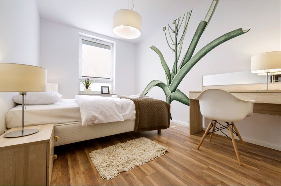 Slime lily illustration  Mural print