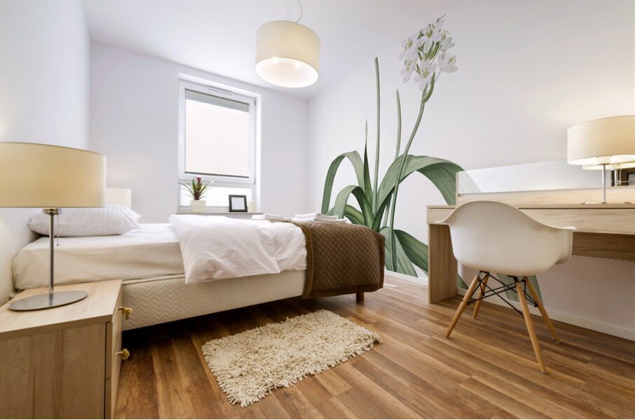 Narbonne star-of-Bethlehem illustration  Mural print