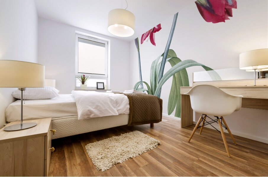 Brazilian amaryllis illustration  Mural print