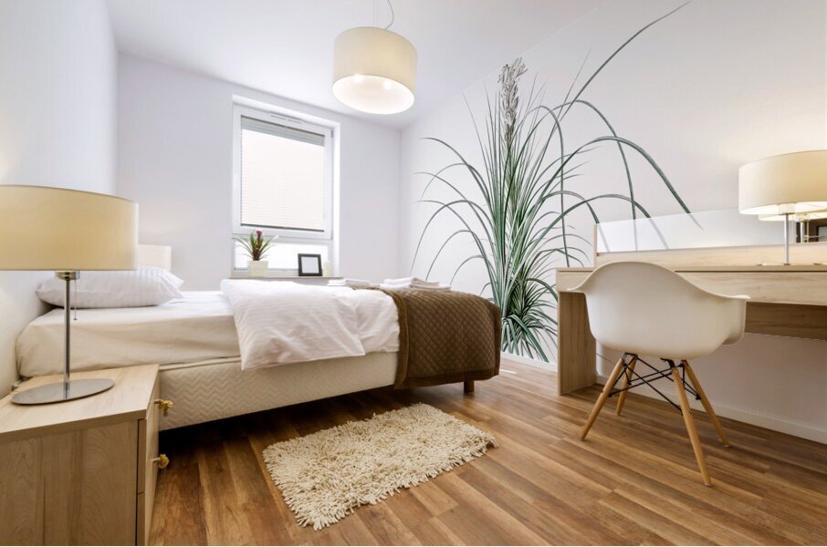 Thin asphodeline illustration  Mural print