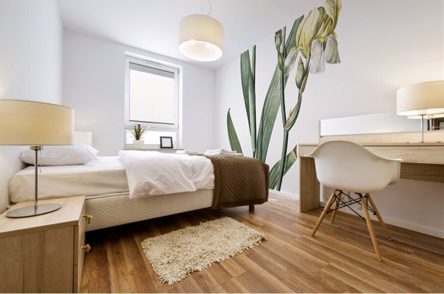 Lemonyellow iris illustration  Mural print