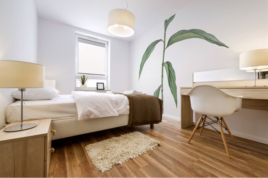 Dayflower illustration  Mural print