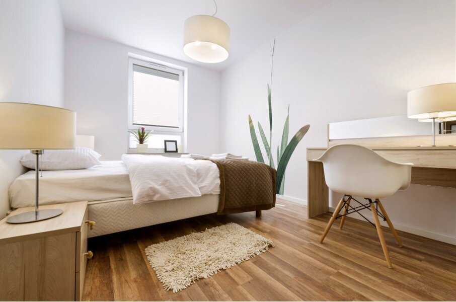 Corn lily illustration  Mural print