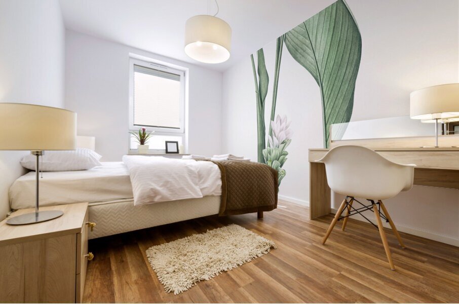 Turmeric illustration  Mural print