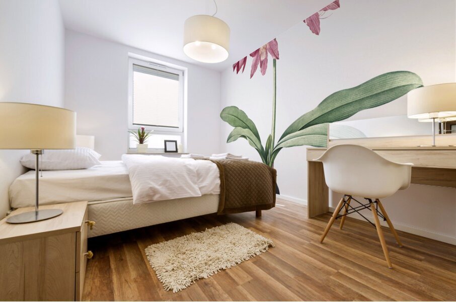 Netted-veined amaryllis illustration  Mural print