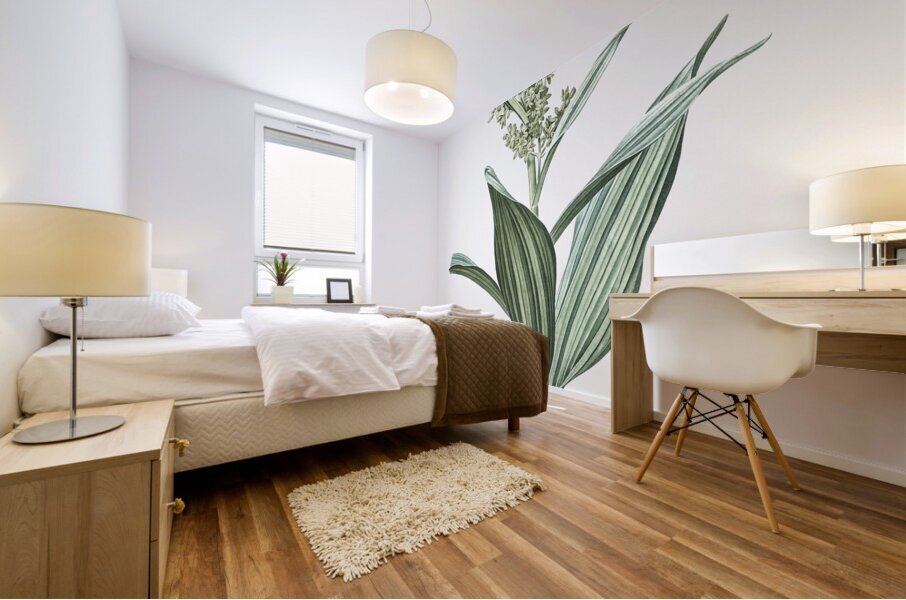 False helleborine illustration  Mural print