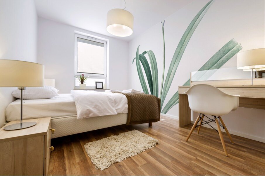 Siberian iris illustration  Mural print