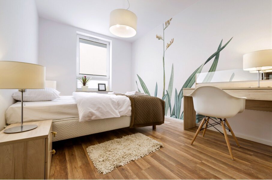 New Zealand flax illustration  Mural print