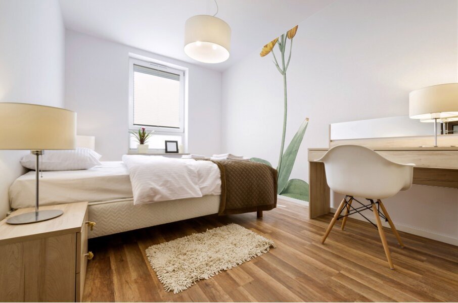 Sun star illustration  Impression murale